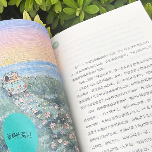 《浅的绿，深的绿》（程玮作品集） 商品图5