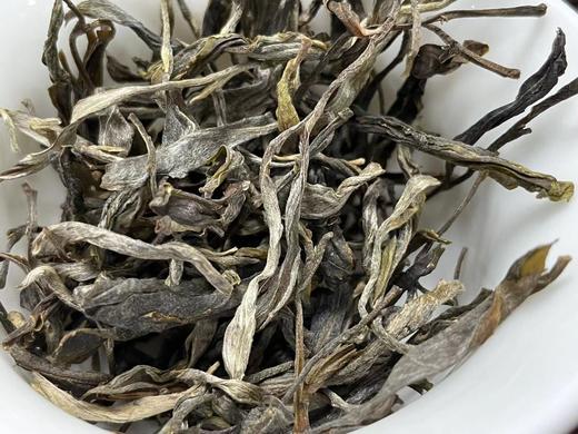 2023年饼茶品鉴装50克 天门山  单株惊鸿 昔归 商品图3