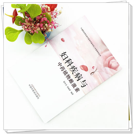 妇科疾病与中药植物雌激素 赵丕文 孙丽萍 编著 中国中医药出版社 中医妇科学 书籍 商品图2