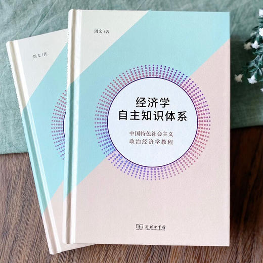 经济学自主知识体系：中国特色社会主义政治经济学教程 周文 著 商务印书馆 商品图2