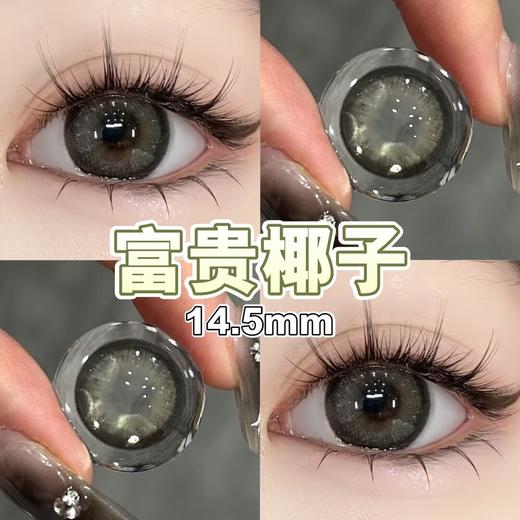 KrazziCon 富贵椰子（半年抛） 商品图1