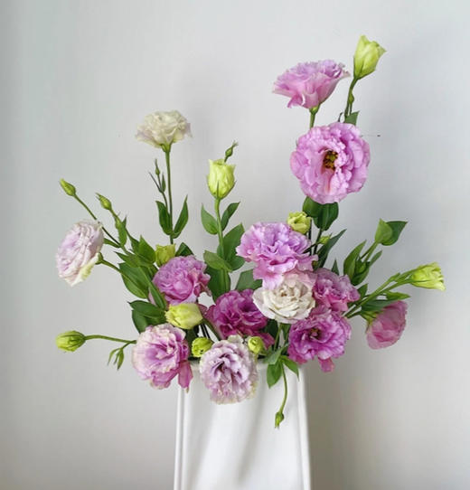 【佳海花业】洋桔梗  波浪浅紫 四合一（700-800g） 颜色深浅略有差异 以实物为准 云南基地发货（价格已包含包装费用） 运费以实际为准，多退少补。 商品图1