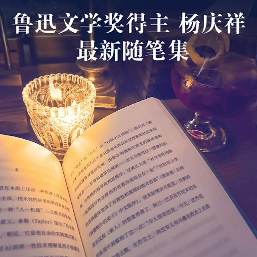 一种模仿的精神生活  杨庆祥 商品图2