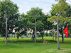 越南海防珍珠高尔夫球场 Vinpearl Golf Haiphong | 越南高尔夫球场 俱乐部 | 海防高尔夫 商品缩略图5
