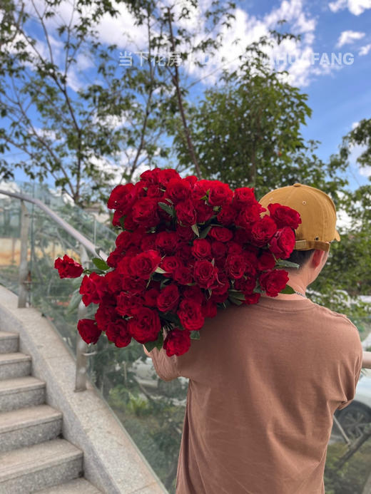 【AB级高原红玫瑰.第二份减10元】10支/份 长约60-65cm 商品图2