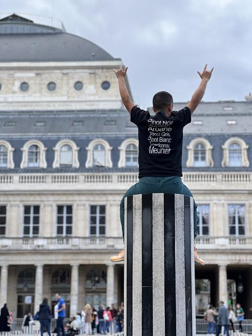 周边限定｜七个葡萄品种T恤 商品图0