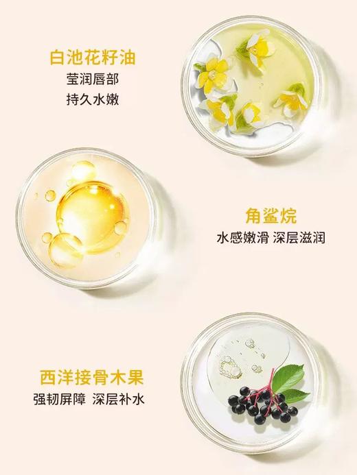 变脸猫润唇膏 商品图2