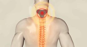  颈椎疼痛，就用这款颈椎贴！ 