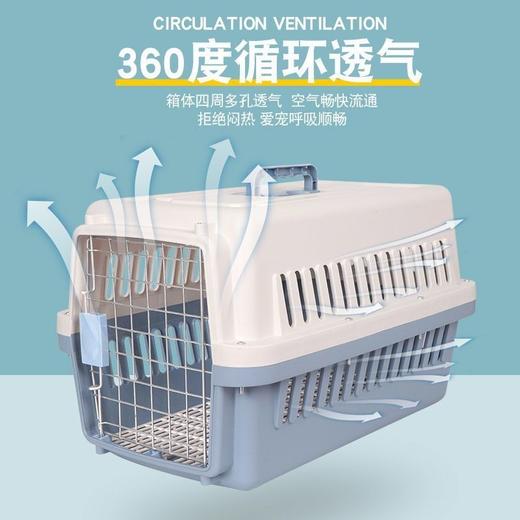 宠物航空箱猫咪托运箱狗狗外出便携旅行箱透气车载狗笼随机色/个 商品图1