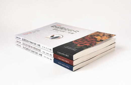 套装3本历代名医膏方验案 膏方应用实战与技巧+养生经典膏方+慢病调治膏方 制备与应用一本通 中国中医药出版社 妙用膏方系列图书 商品图4