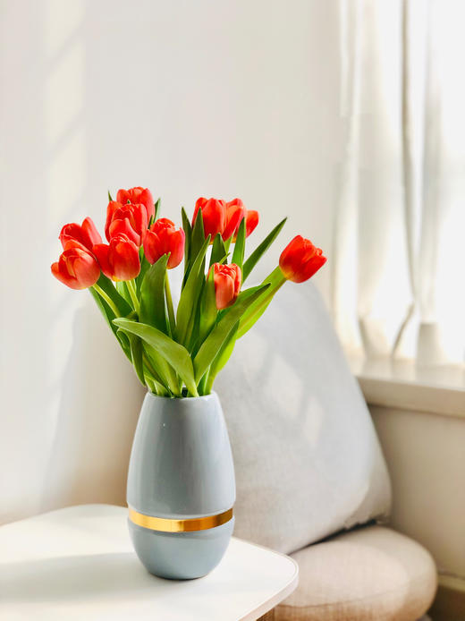 郁金香合辑【春天是见到你的第一眼开始】 简小姐精选荷兰国花  2件包邮下单72小时发货 商品图2