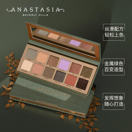 【章小蕙3.8】ABH ANASTASIA BEVERLY HILLS 娜悠沃眼影盘 商品图3
