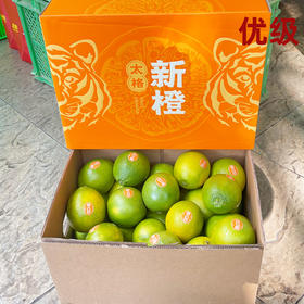 太格新橙冰糖橙 5kg（优级）