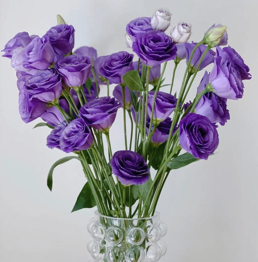 【佳海花业】洋桔梗  紫色  四合一（700-800g） 颜色深浅略有差异 以实物为准 云南基地发货（价格已包含包装费用） 运费以实际为准，多退少补。 商品图1