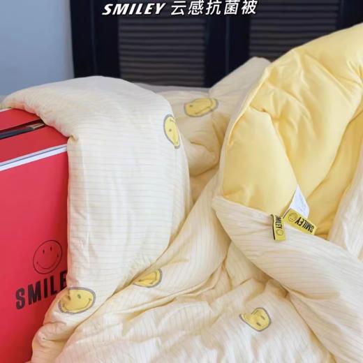 SMILEY/笑脸 秋冬保暖亲肤抑菌被黄色礼盒装200*230（4.7斤）[福利品] 商品图2