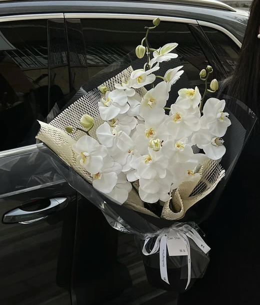 【幸福的来临】进口高质感--白蝴蝶兰  约6-7朵 商品图7