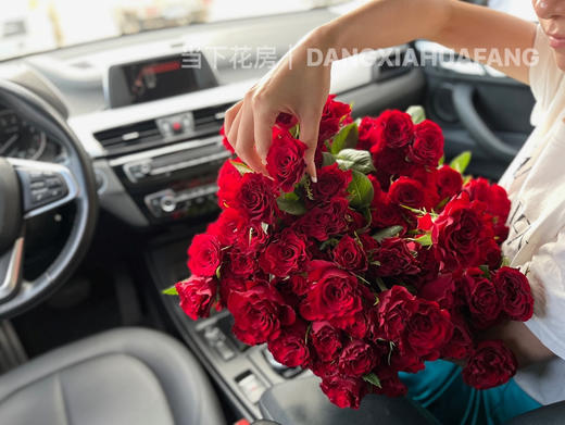 【AB级高原红玫瑰.第二份减10元】10支/份 长约60-65cm 商品图8