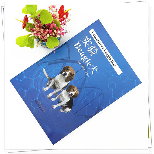 实验Beagle犬 倪庆纯 贺争鸣 主编 中国中医药出版社 商品图1