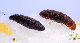  秋冬滋补，需要有它！纯净深海、持证捕捞、野生足龄、开袋即食！ 