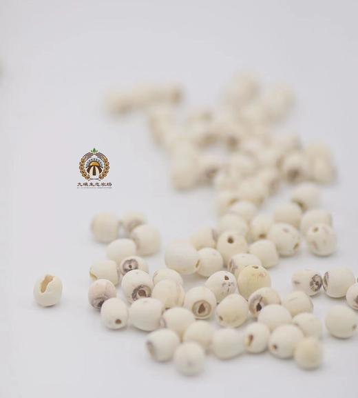 生态 有机干莲子  全国包邮 偏远地区除外 商品图3