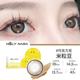 HolyNara 巧克力豆（日抛10片装）