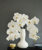 【幸福的来临】进口高质感--白蝴蝶兰  约6-7朵 商品缩略图5