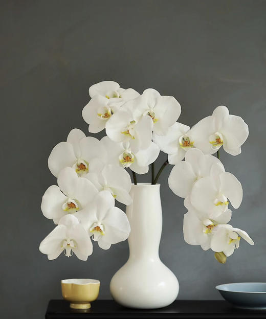 【幸福的来临】进口高质感--白蝴蝶兰  约6-7朵 商品图5