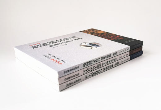 套装3本历代名医膏方验案 膏方应用实战与技巧+养生经典膏方+慢病调治膏方 制备与应用一本通 中国中医药出版社 妙用膏方系列图书 商品图3