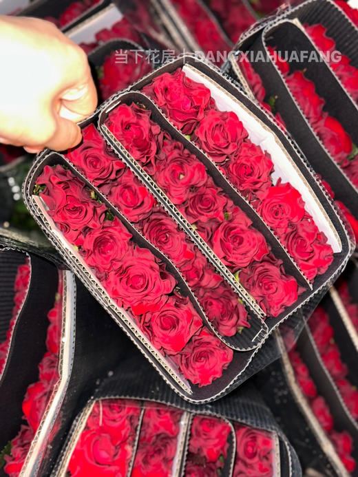 【AB级高原红玫瑰.第二份减10元】10支/份 长约60-65cm 商品图4