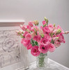 【佳海花业】洋桔梗  粉色 四合一（700-800g） 颜色深浅略有差异 以实物为准 云南基地发货（价格已包含包装费用） 运费以实际为准，多退少补。 商品缩略图1