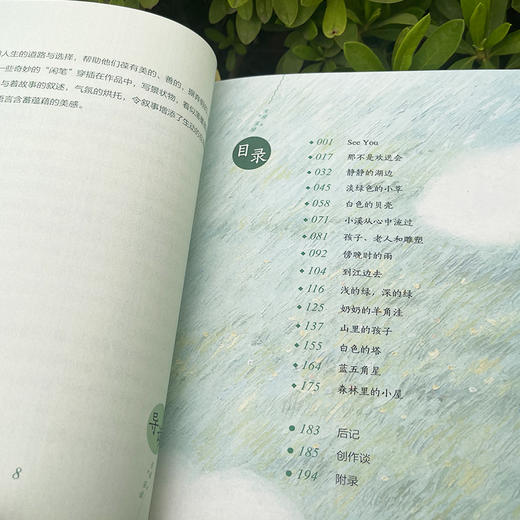 《浅的绿，深的绿》（程玮作品集） 商品图4