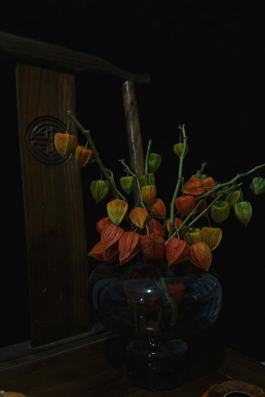 【AB级酸浆果切花】5支/份 长度约50-55cm 商品图9