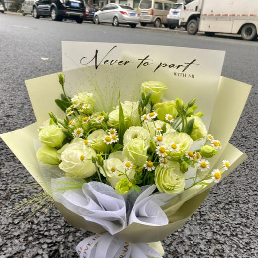 【佳海花业】洋桔梗  绿色   四合一（700-800g） 颜色深浅略有差异 以实物为准 云南基地发货（价格已包含包装费用） 运费以实际为准，多退少补。 商品图1