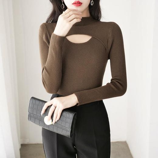 2023秋季纯色镂空半高领套头毛衣女装内搭长袖针织衫外穿打底衫潮 商品图3