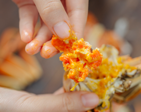 秋不食蟹，何以解馋！膏黄肥美的大闸蟹来报道啦，中秋节送礼有它就够了！