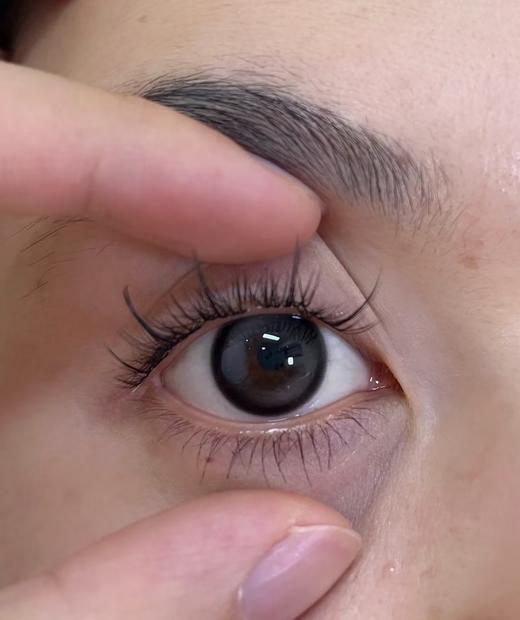 Yukicon日抛新品-黑森林（10片） 商品图3