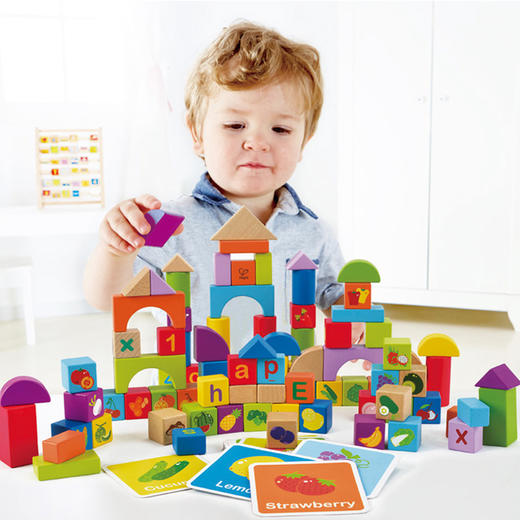 Hape120粒水果蔬菜积木E8303 商品图0