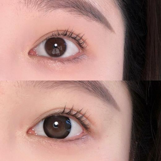 Claire color【多肉黑糖】日抛 浓缩十倍水光感 又温柔又有个性的感觉 商品图1