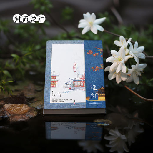 逢灯.下（网络原名《攻略（病娇）男配的正确方法》） 商品图5