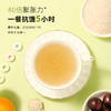 洋车前壳子粉车前子壳粉膳食代餐冲泡做麻薯圆苞车前子壳200g 商品缩略图4