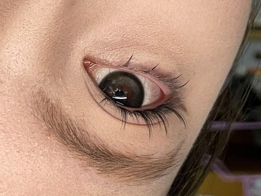 Yukicon日抛新品-黑森林（10片） 商品图7