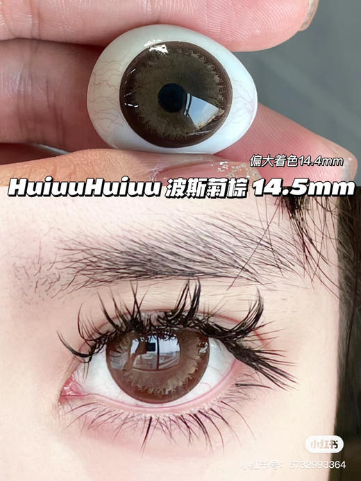 【店主实拍】AgensColor-波斯菊棕- 14.5mm 【年抛 0-1000度 无525/575】 商品图0