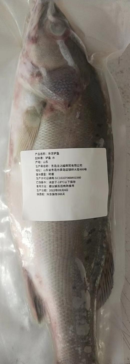 冷冻顺【丰包邮】海鲈鱼新鲜海鱼鲜活深海鱼1100g*2条 商品图7