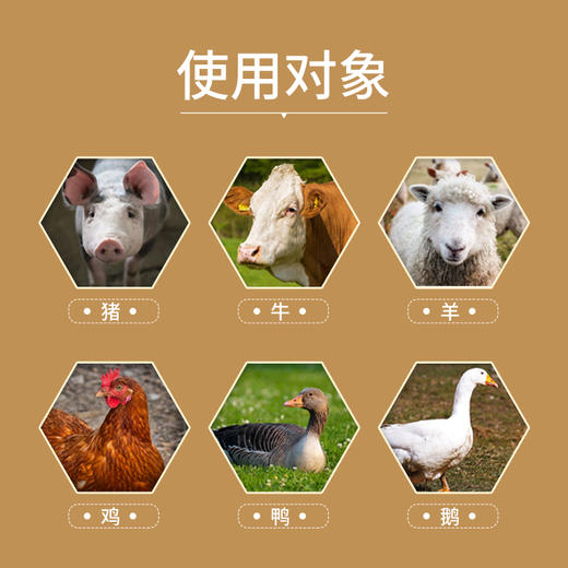 华畜葡萄糖粉5公斤装 增强抵抗力 补充体能 抗应激 禽畜通用 商品图3