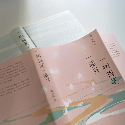 【毛边签名本】一树梅花一溪月 潘小娴著 商品图2