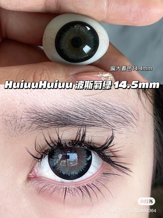 【店主实拍】AgensColor-波斯菊绿- 14.5mm 【年抛 0-1000度 无525/575】 商品图0