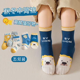 【柔软舒适不勒脚❗️秋冬可爱中筒袜】5双-宝宝袜子春秋卡通棉袜ins韩版婴儿男冬季中筒童袜女儿童袜子男童女童父亲节礼物新年礼盒年货礼盒