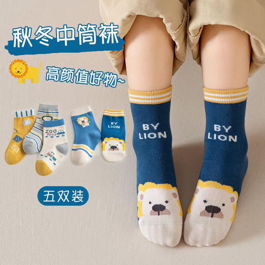 【柔软舒适不勒脚❗️秋冬可爱中筒袜】5双-宝宝袜子春秋卡通棉袜ins韩版婴儿男冬季中筒童袜女儿童袜子男童女童父亲节礼物新年礼盒年货礼盒 商品图0