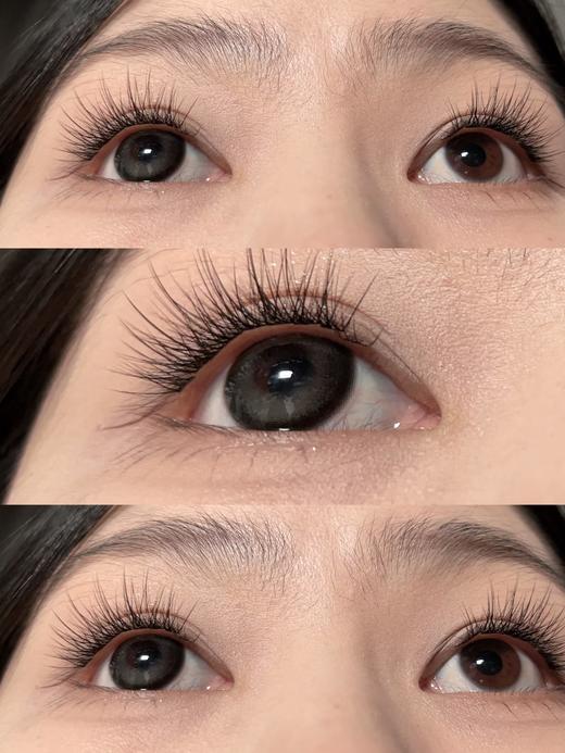 Yukicon日抛新品-黑森林（10片） 商品图10