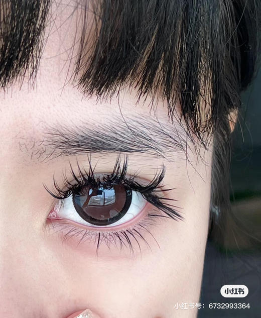 【店主实拍】Sheepcon杏仁太妃糖-14.4mm 【年抛 度数0-1000度 无525/575】 商品图1